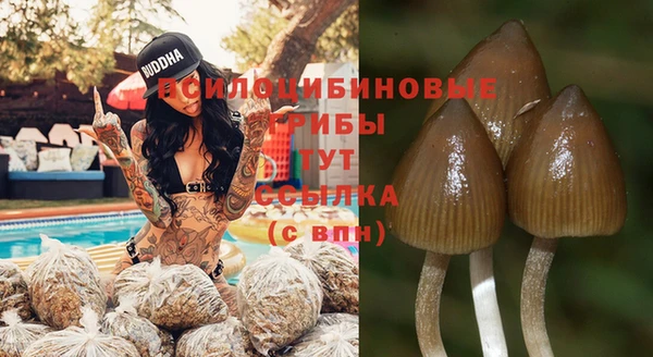 дмт Верхний Тагил