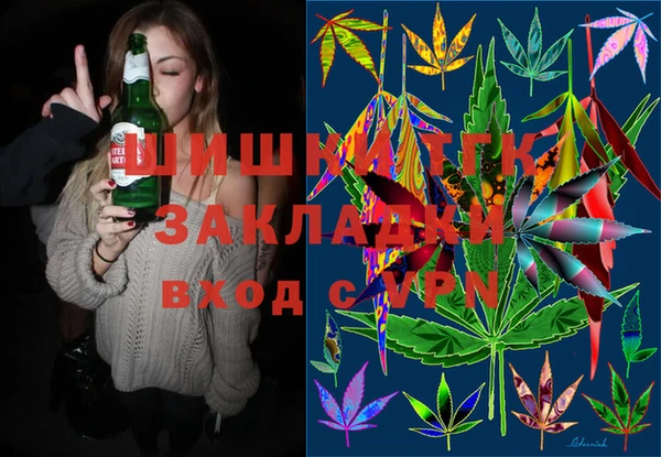 дмт Верея