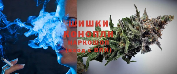 дмт Верея